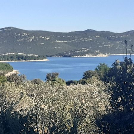 Villa Palfi يزيرا المظهر الخارجي الصورة
