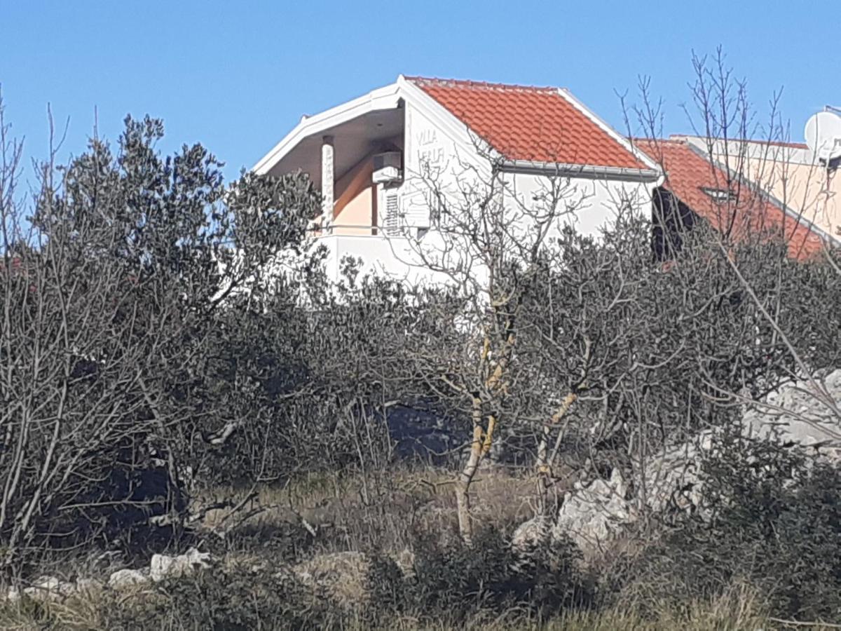 Villa Palfi يزيرا المظهر الخارجي الصورة
